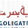 شعار إمارات موبايل سوليوشنز
